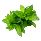 Peppermint Oil