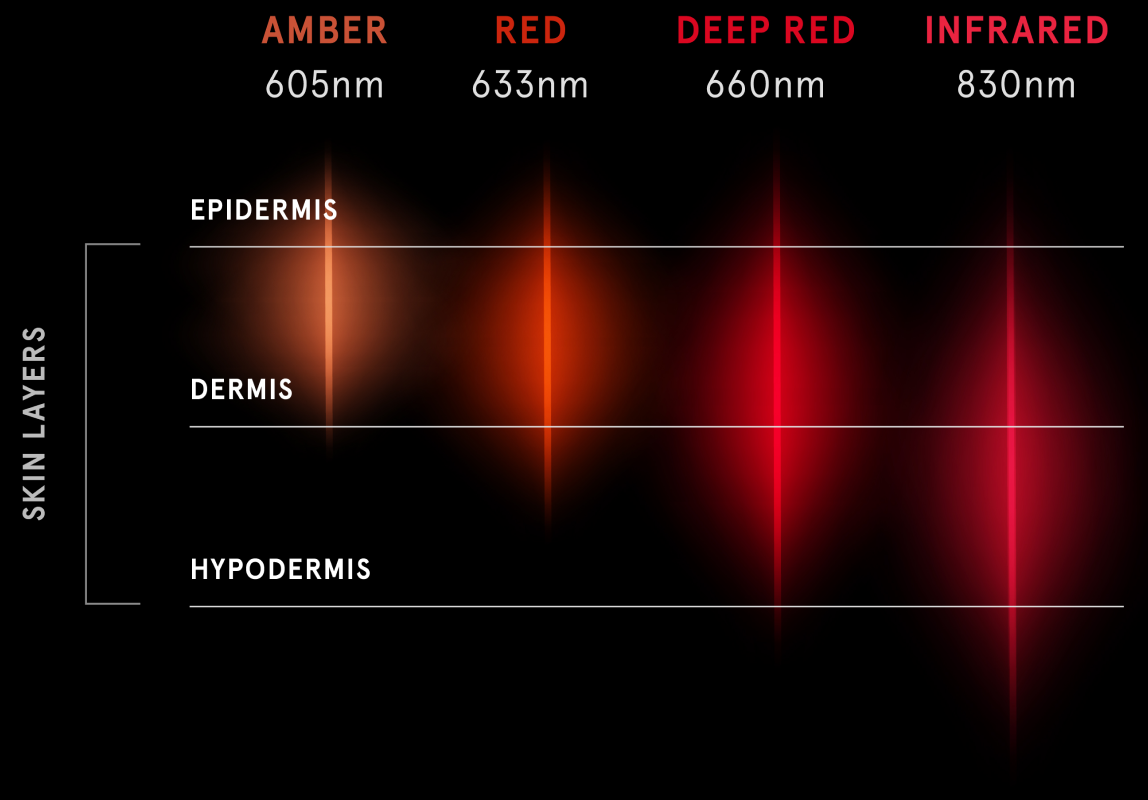 Skin Layers Illustration 